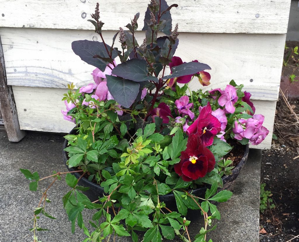 きれいなお花がお出迎えします